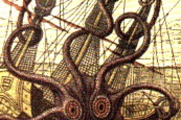 Kraken network